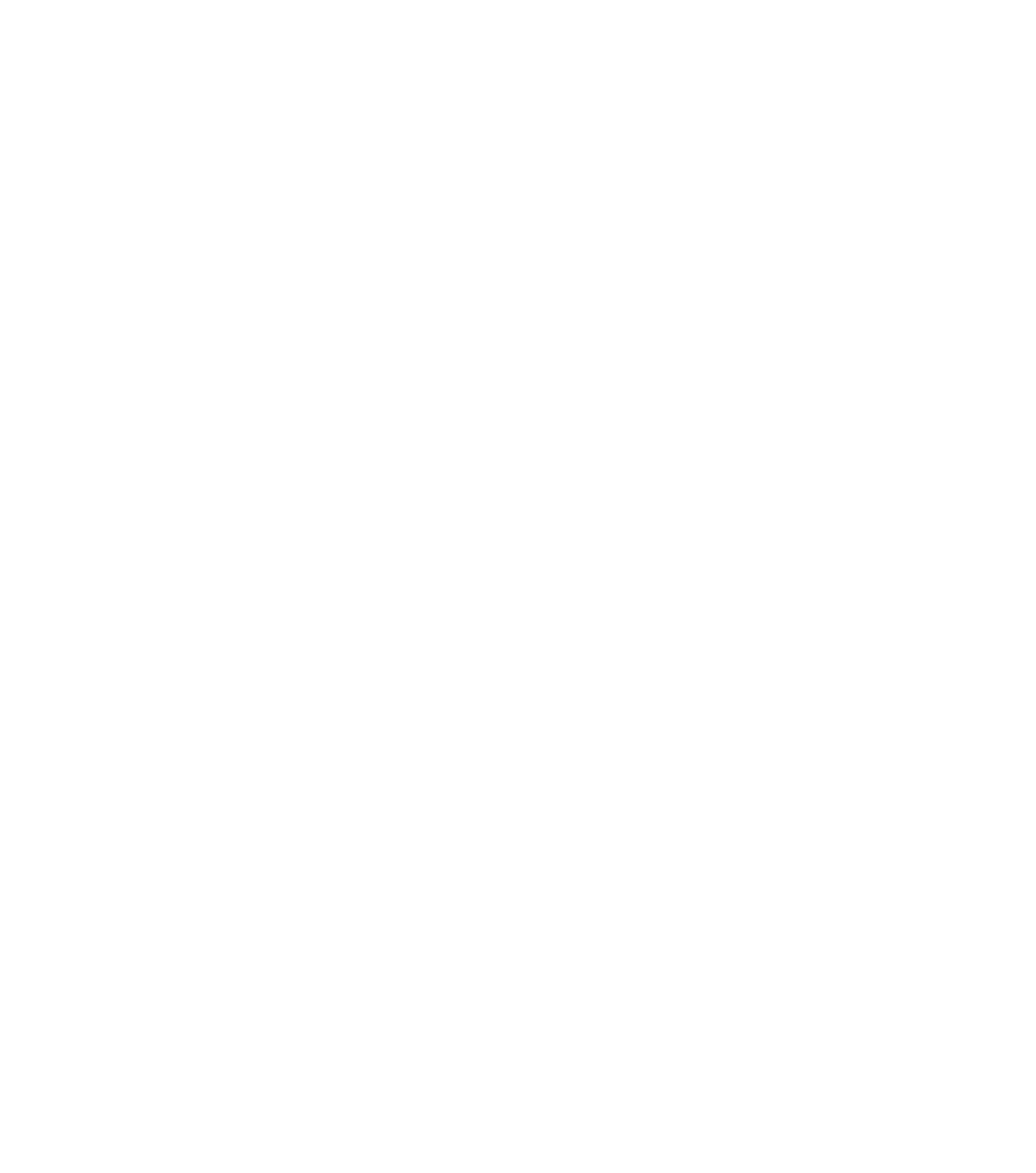 REDOSA Logo